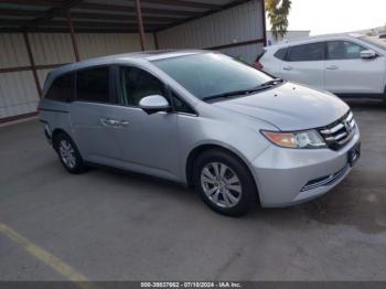  Salvage Honda Odyssey