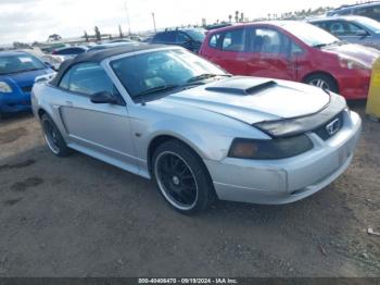  Salvage Ford Mustang