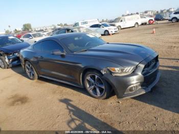  Salvage Ford Mustang