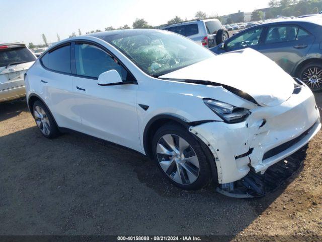  Salvage Tesla Model Y