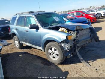  Salvage Ford Escape