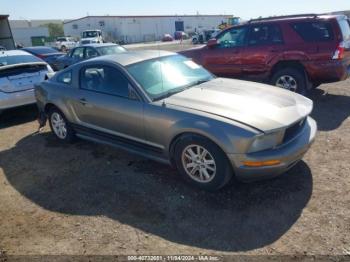  Salvage Ford Mustang