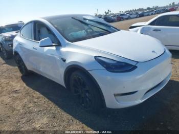  Salvage Tesla Model Y