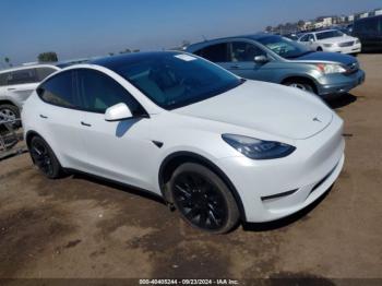  Salvage Tesla Model Y