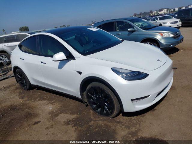  Salvage Tesla Model Y