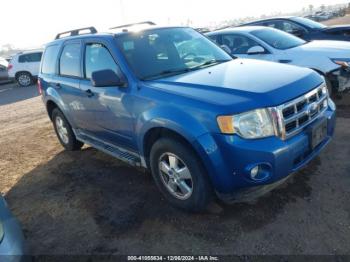  Salvage Ford Escape