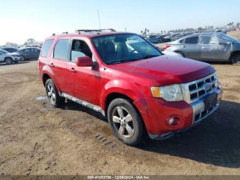  Salvage Ford Escape