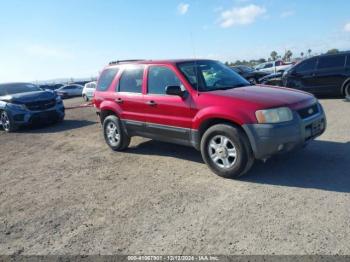  Salvage Ford Escape