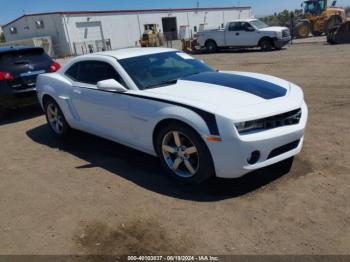  Salvage Chevrolet Camaro