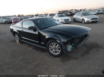  Salvage Ford Mustang