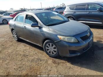  Salvage Toyota Corolla