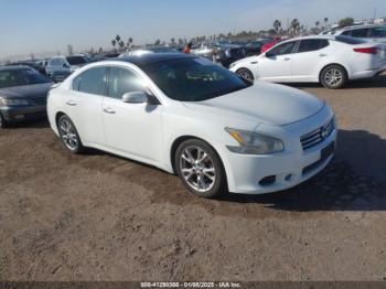  Salvage Nissan Maxima