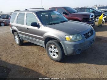  Salvage Ford Escape