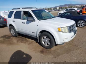  Salvage Ford Escape