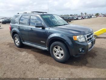  Salvage Ford Escape