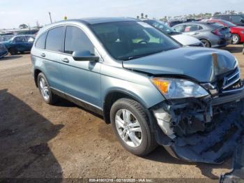  Salvage Honda CR-V