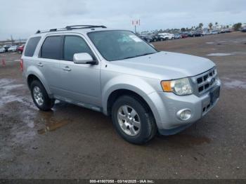  Salvage Ford Escape