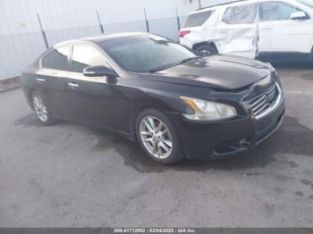  Salvage Nissan Maxima