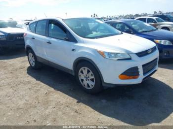  Salvage Ford Escape