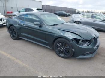  Salvage Ford Mustang