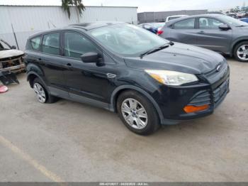  Salvage Ford Escape