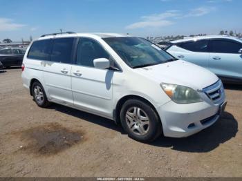  Salvage Honda Odyssey