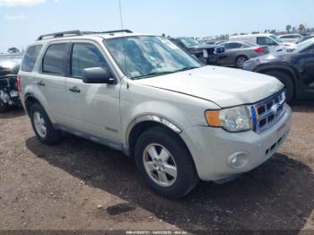  Salvage Ford Escape