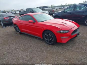  Salvage Ford Mustang
