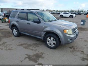 Salvage Ford Escape
