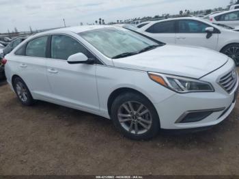  Salvage Hyundai SONATA