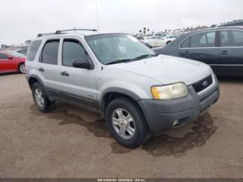  Salvage Ford Escape