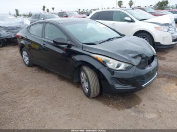  Salvage Hyundai ELANTRA