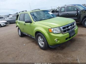  Salvage Ford Escape