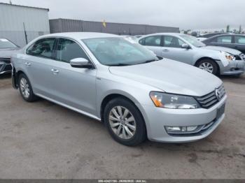  Salvage Volkswagen Passat