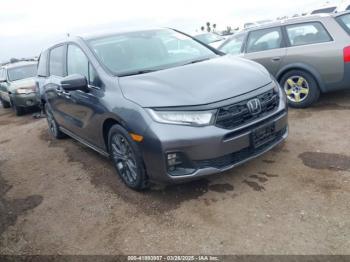  Salvage Honda Odyssey