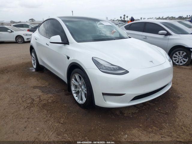  Salvage Tesla Model Y