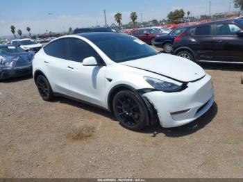  Salvage Tesla Model Y