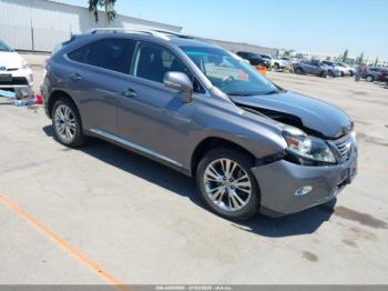  Salvage Lexus RX
