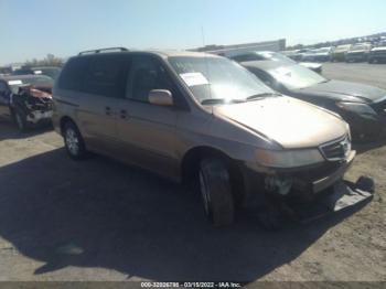  Salvage Honda Odyssey