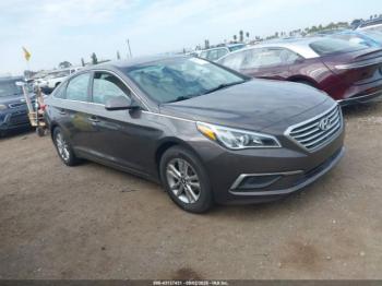  Salvage Hyundai SONATA