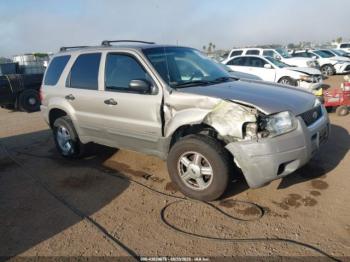  Salvage Ford Escape