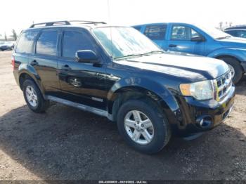  Salvage Ford Escape