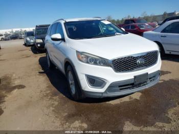  Salvage Kia Sorento