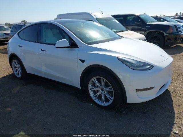  Salvage Tesla Model Y