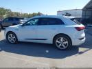 Audi e-tron Premium Plus Image 10