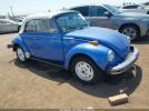 Vlks Beetle Image 1