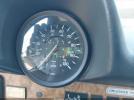 Vlks Beetle Image 10
