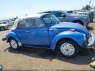 Vlks Beetle Image 4