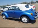Vlks Beetle Image 3
