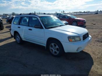  Salvage Subaru Forester